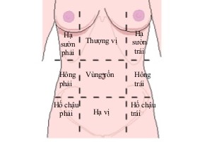 Vị trí đau bụng