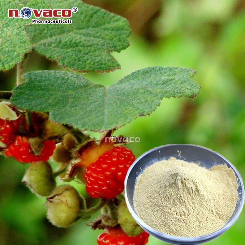 Rượu Mùi Mâm Xôi - Nét Văn Hóa Đặc Trưng Của Miền Tây
