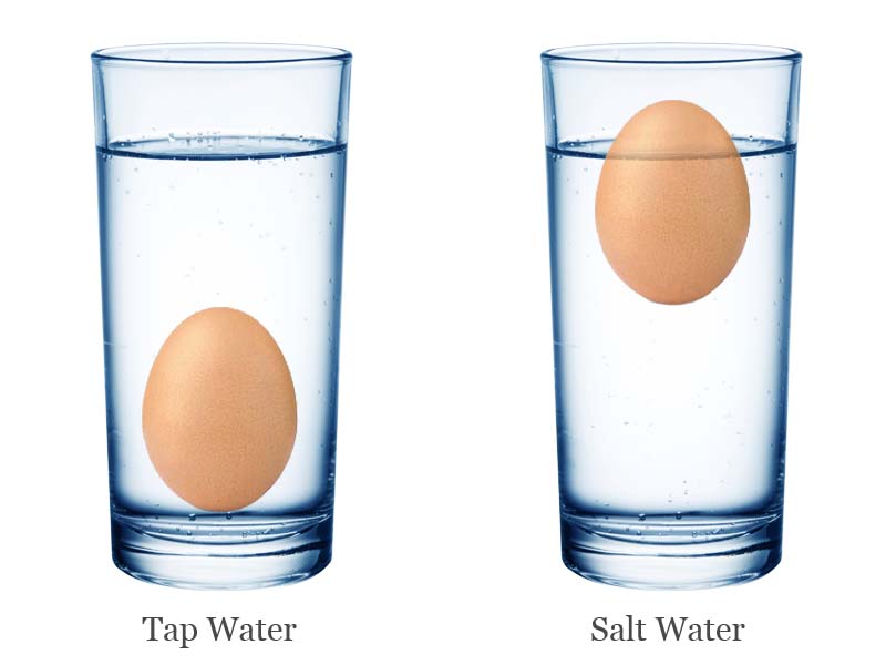 Image result for density of water with egg