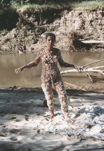 Image result for ana mendieta art soulites