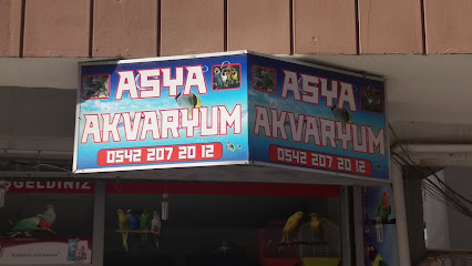 Asya Akvaryum