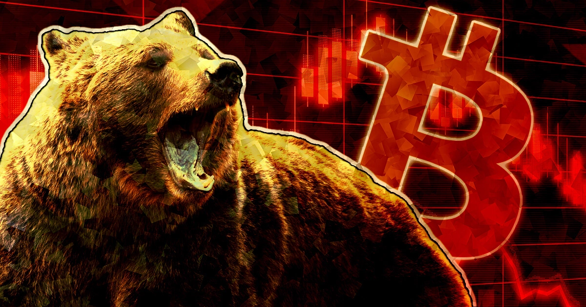 Blog Crypto Bear Market