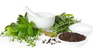 Image result for naturopathic doctor