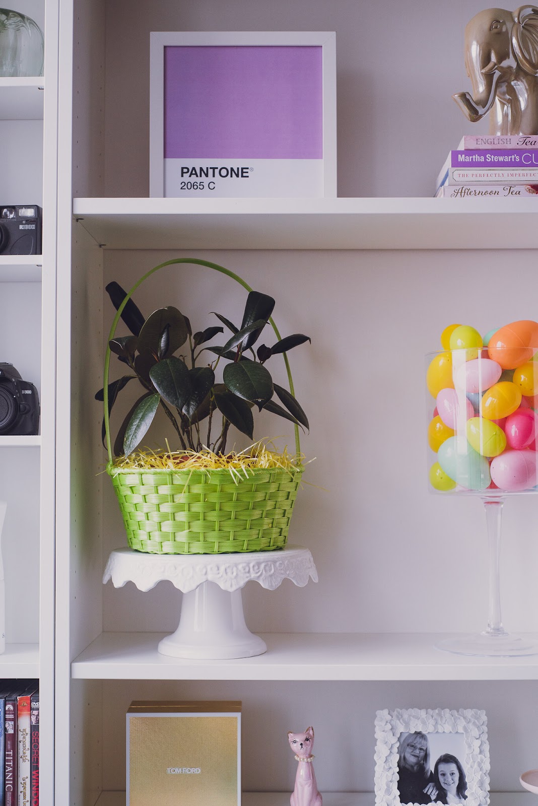 lily-muffins-easter-bookshelves-rubber-tree.jpg