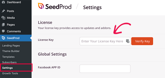 Digite sua chave de licença SeedProd