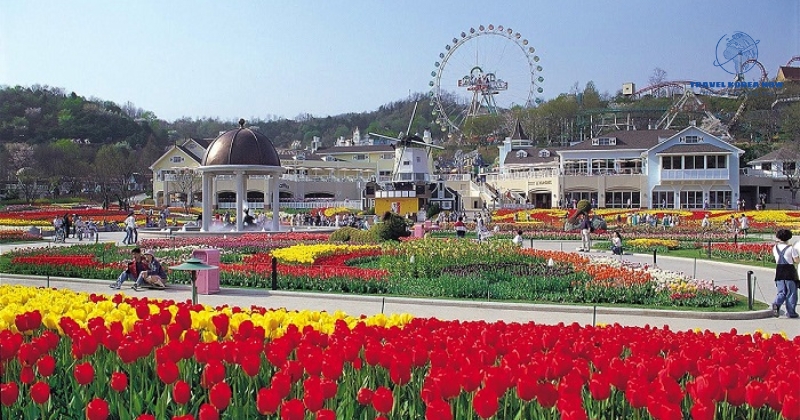 Du lịch Hàn Quốc tháng 4 - lễ hội hoa Tulip ở Everland