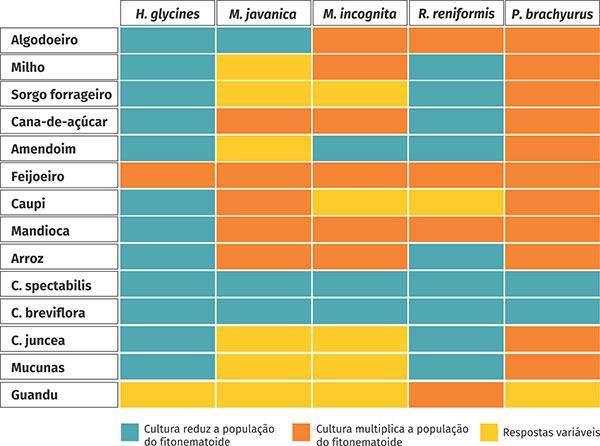 Tabela Descrição gerada automaticamente com confiança baixa