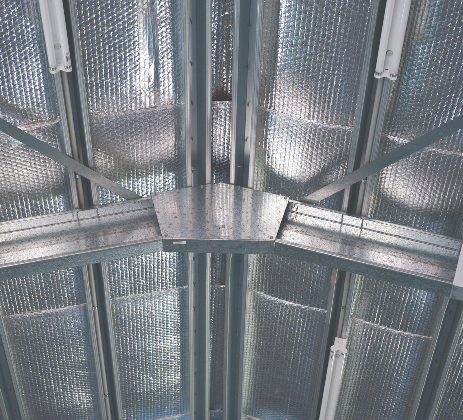 Example of what tophat purlins look like in one of our sheds