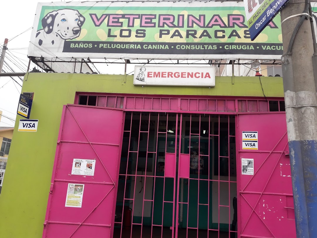 Veterinaria Paracas