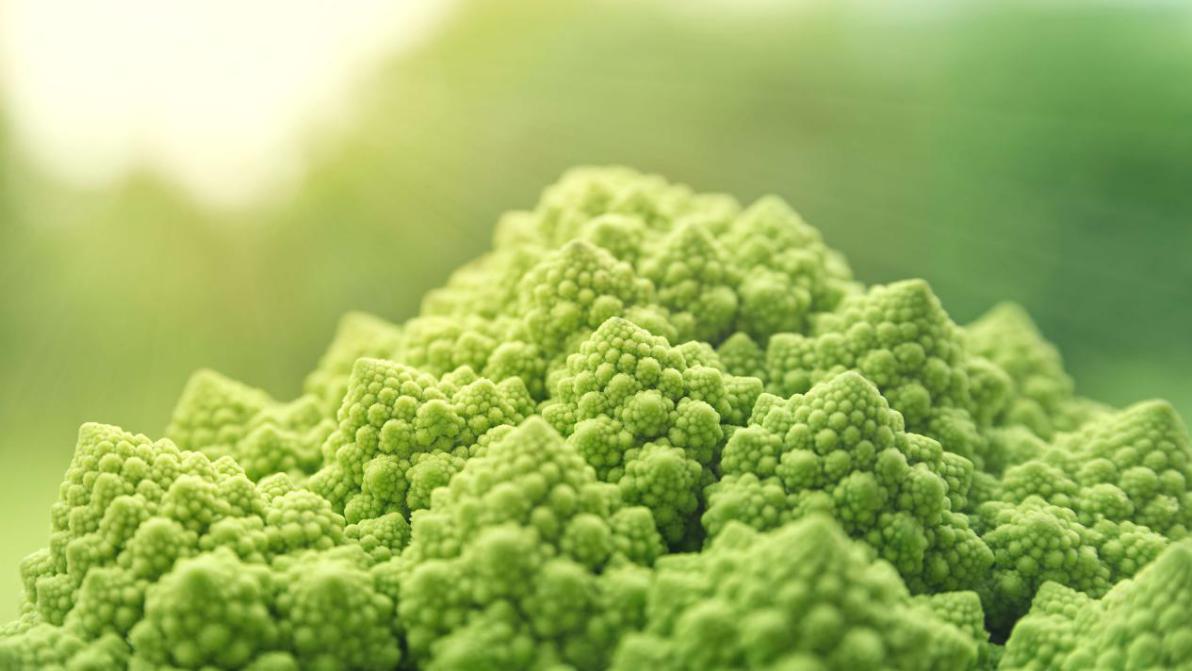 cauliflower