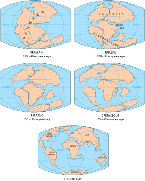 Fichier:Pangaea to present.gif