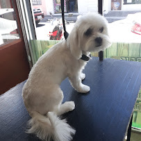 Opiniones de VETERINARIA ANIMAL CENTER en Quito - Peluquería