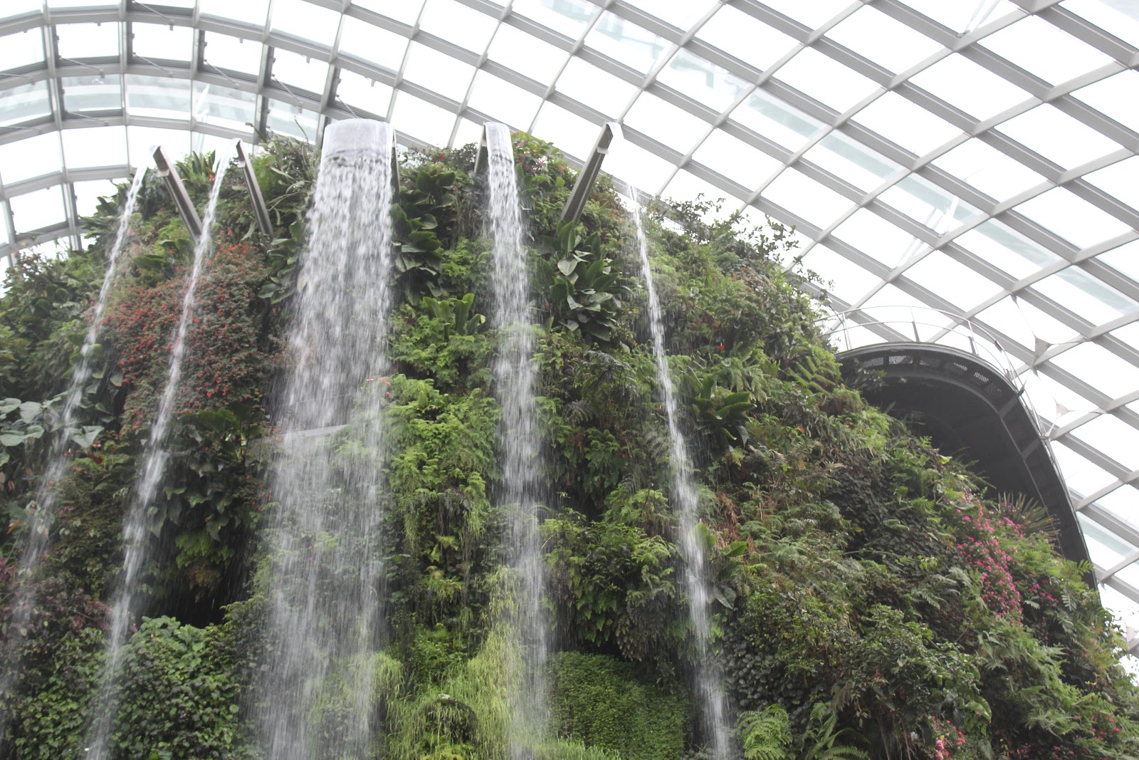 Waterfall at Cloud Forest 