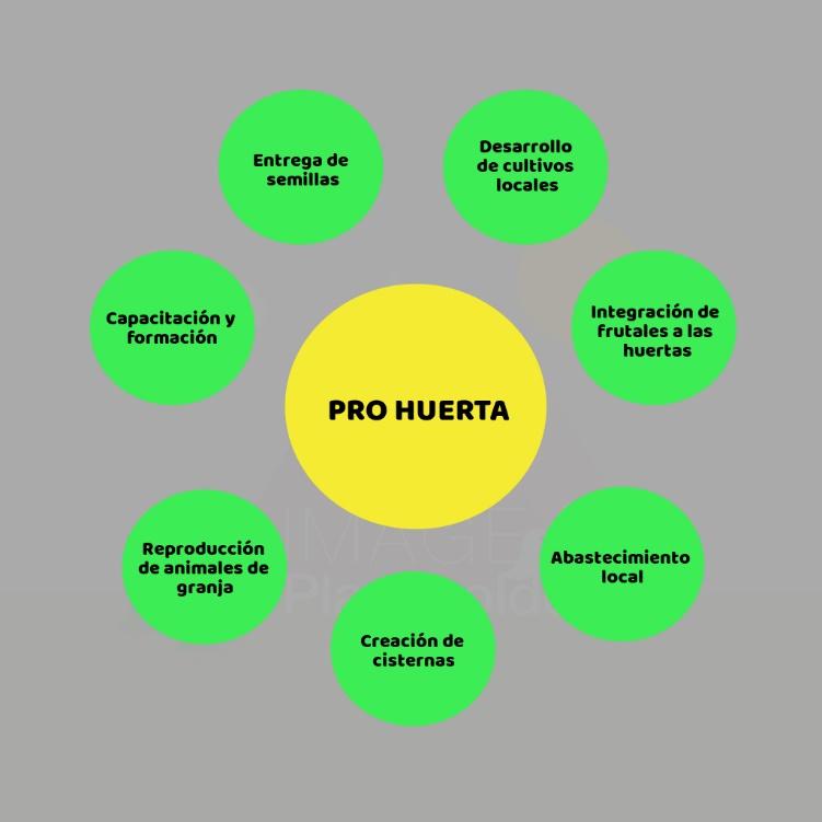 Ejes del programa Pro Huerta.