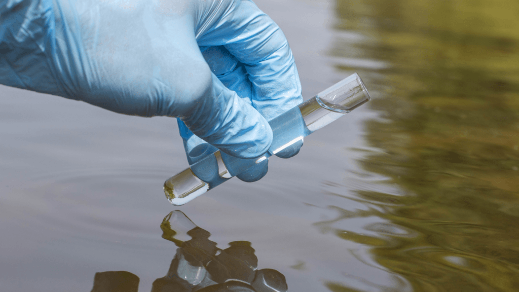best home water filtration system