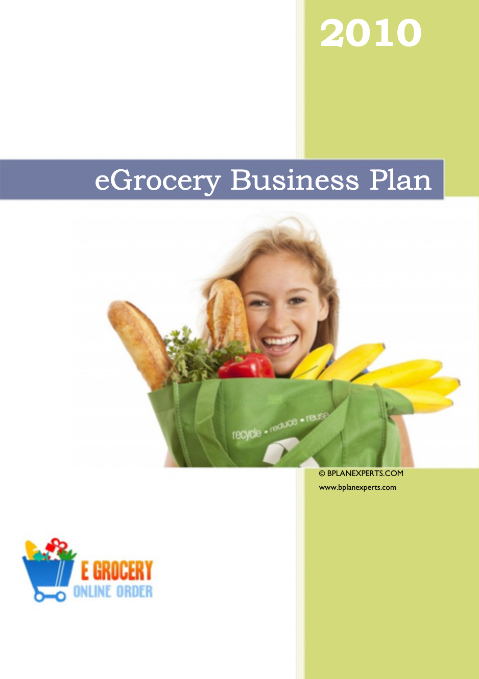 an example cover of an eGrocery business plan