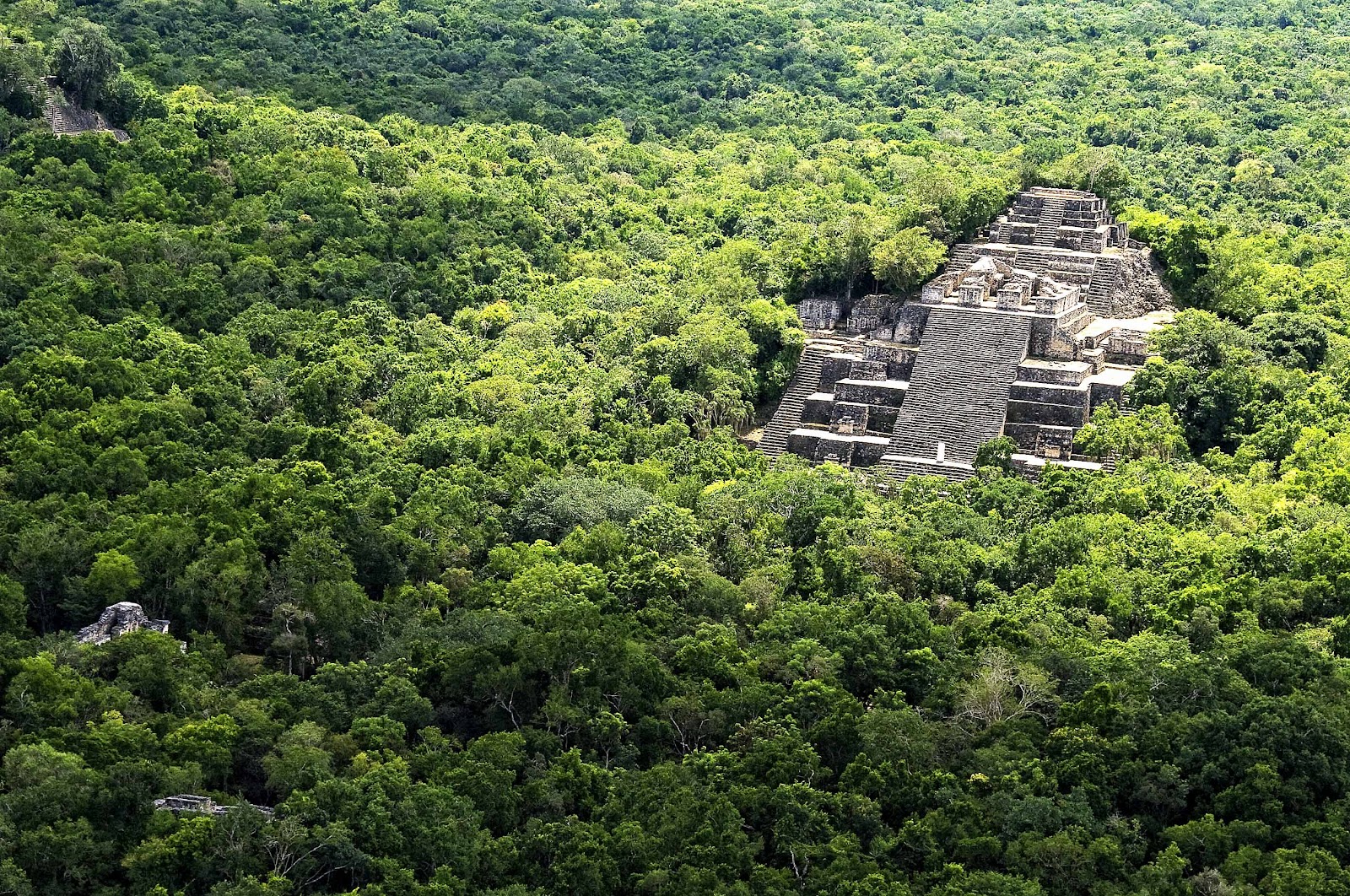 The Great Pyramid, Calakmul