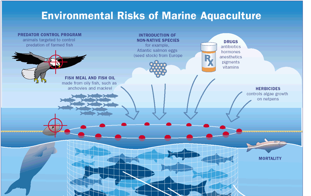 Feeding the Pale Blue Dot: Aquaculture