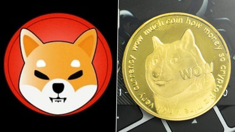 Talks of a new meme coin replacing Shiba Inu and DogeCoin
