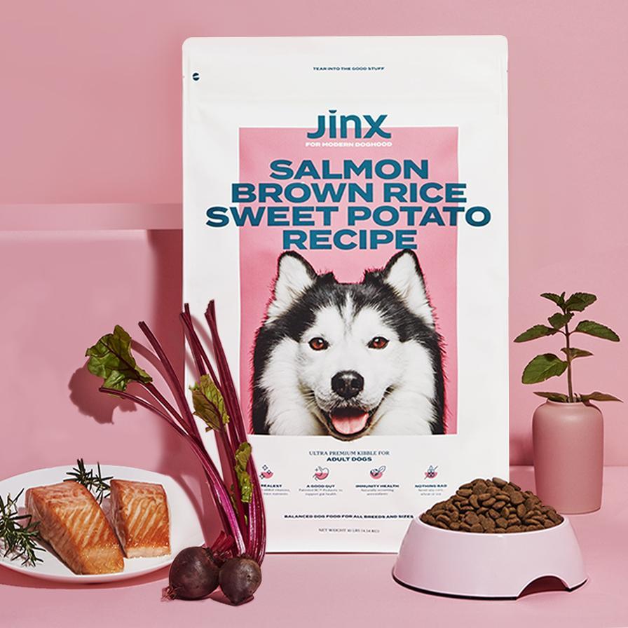 Jinx Dog Food Review Must Read This Before Buying
