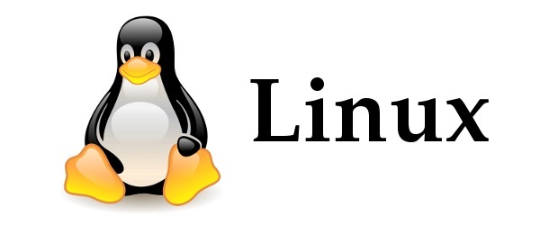 Linux ubuntu operating system