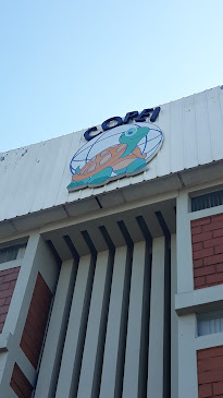 Comentarios y opiniones de Copei Language Institute