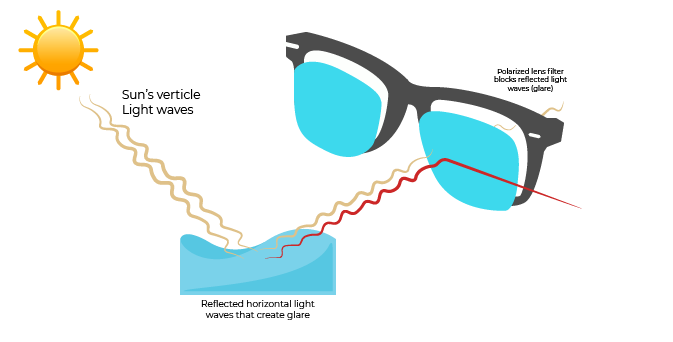 Quels sont les avantages des lunettes polarisées ? • Sunkids