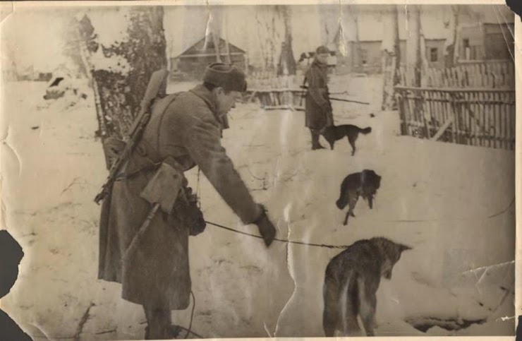 Саперы лейтенанта Жукова разминируют улицы Красного Села 22.01.1944 
