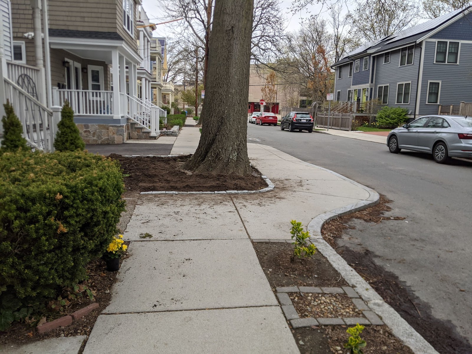 Example of a street tree bumpout.