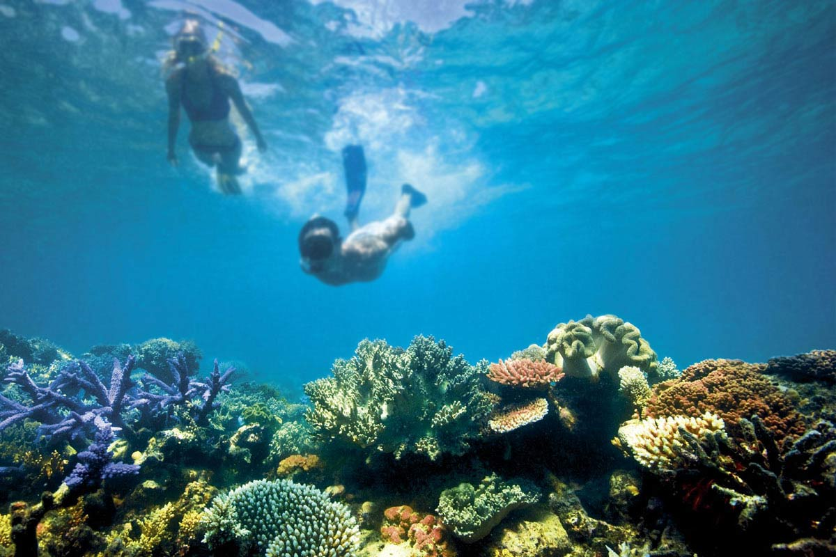 Strap on your snorkel and hit The Great Barrier Reef