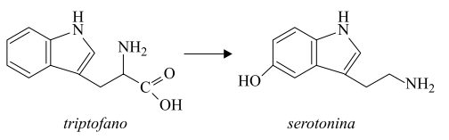 reação de transformação do triptofano a serotonina