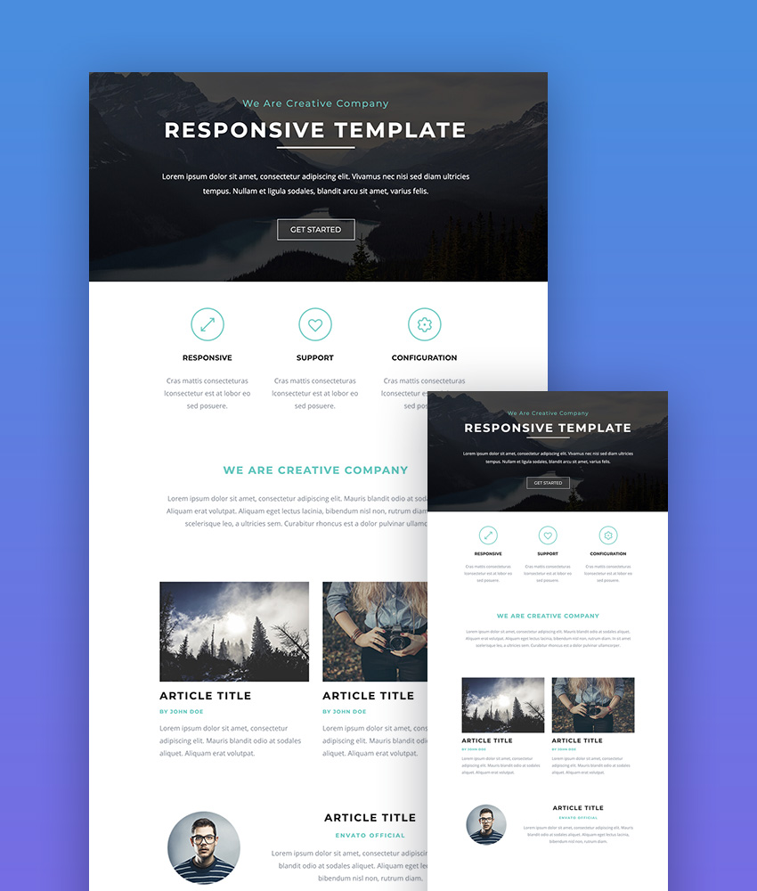 professional Mailchimp template