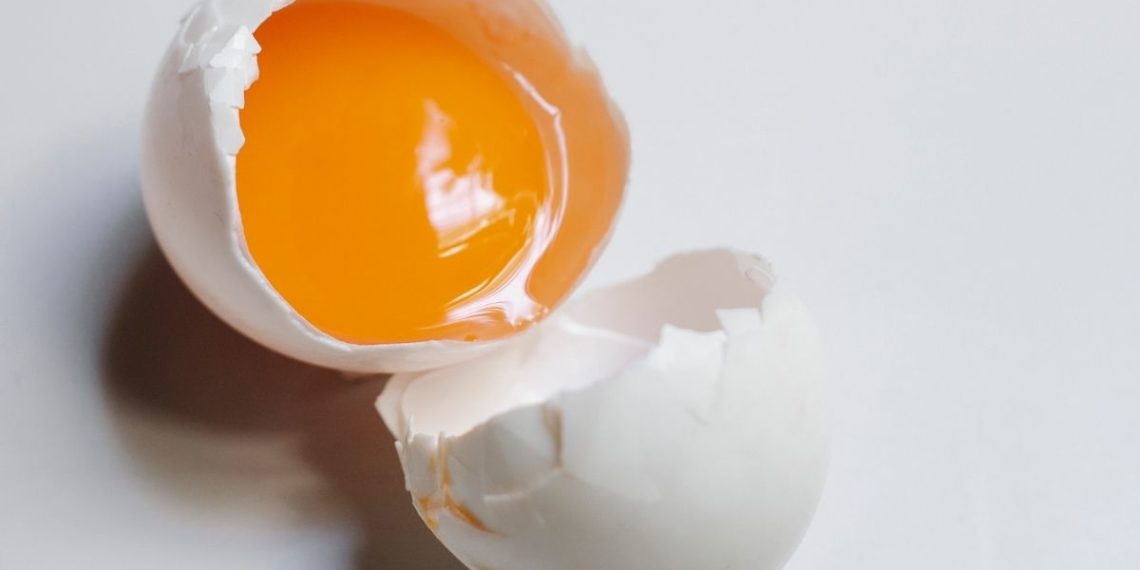 Em vez de jogar fora suas cascas de ovo, verifique esses usos incríveis