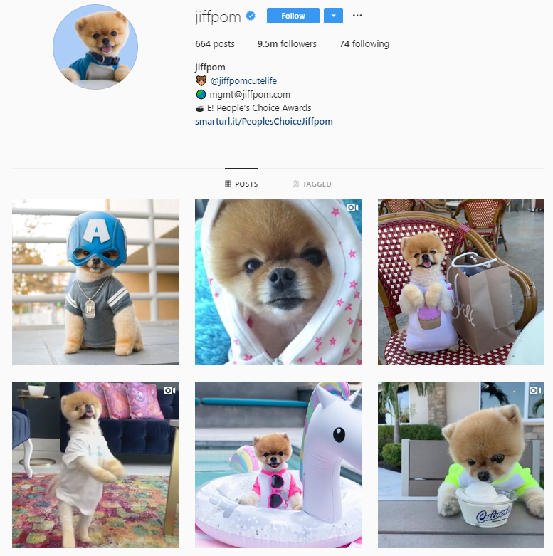 Top 11 Highly Profitable Instagram Niches For 2021 Sellfy