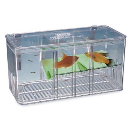 Image result for 2 way breeder fish tank