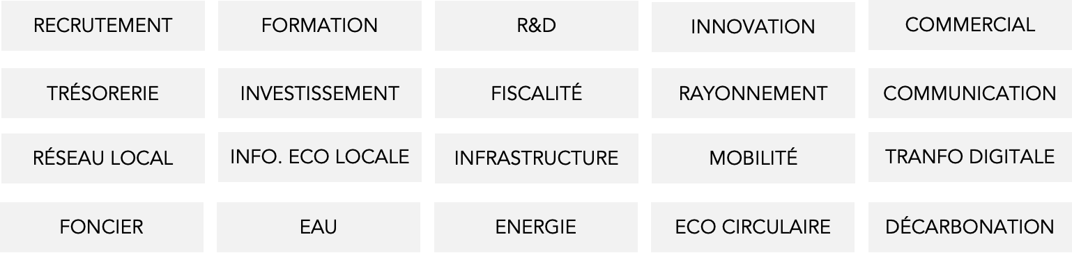 Liste de ce que les acteurs du territoires peuvent faire : recrutement, formation, innovation, commercial, trésorerie, investissement, rayonnement, communication, réseau local, infrastructure, mobilité, eau, energie, décarbonation...