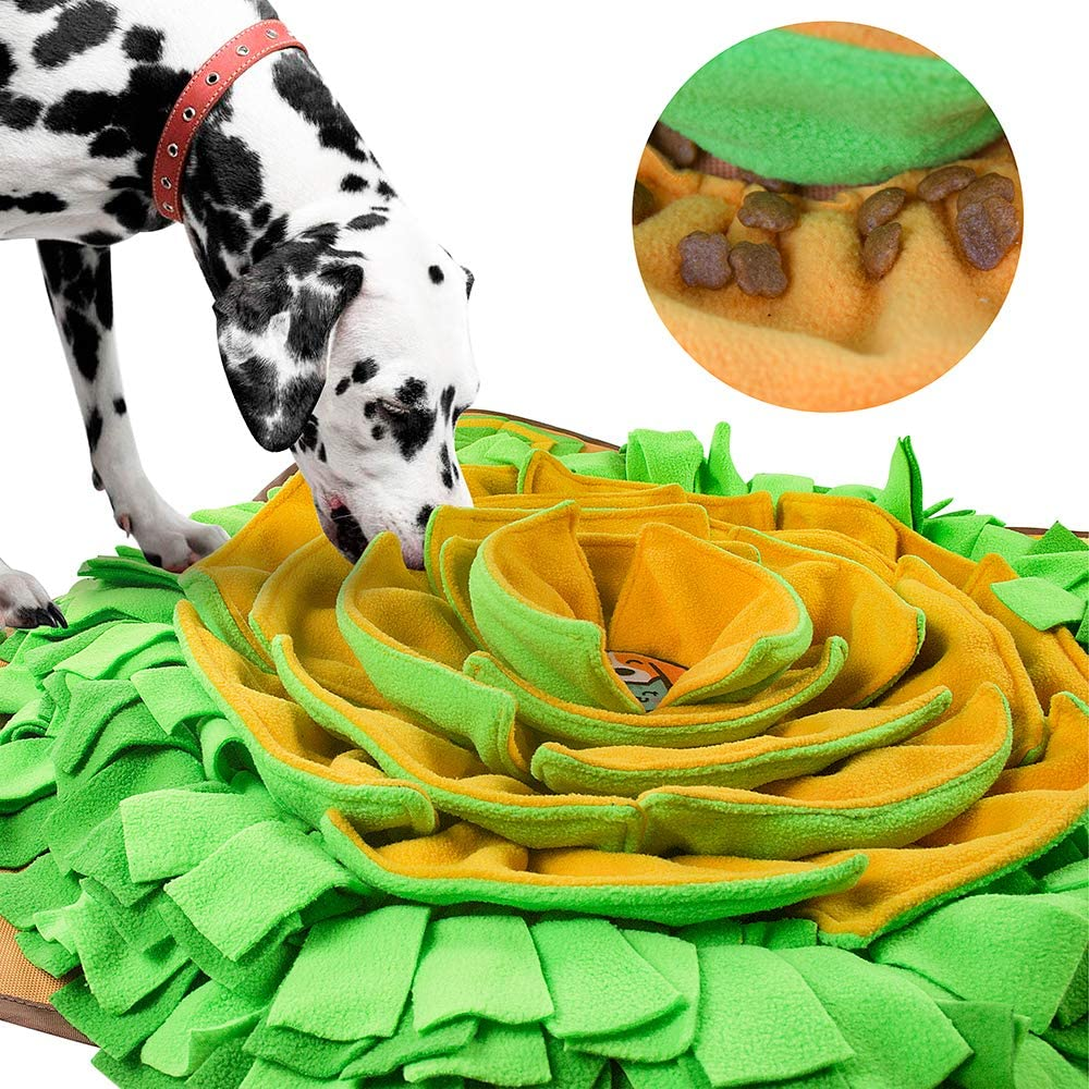 Digging box for dogs discount