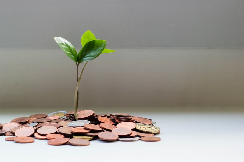 Entrepreneur Business Growth Plant Metaphor