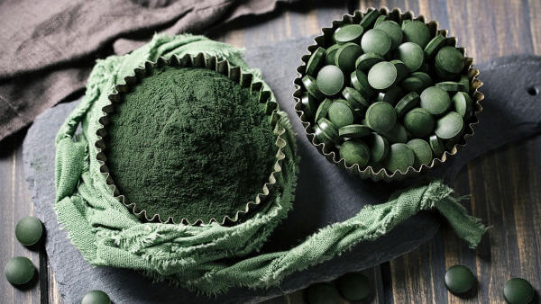 Tảo xoắn Spirulina là nhân tố kích thích sắc tố đỏ cho cá Koi