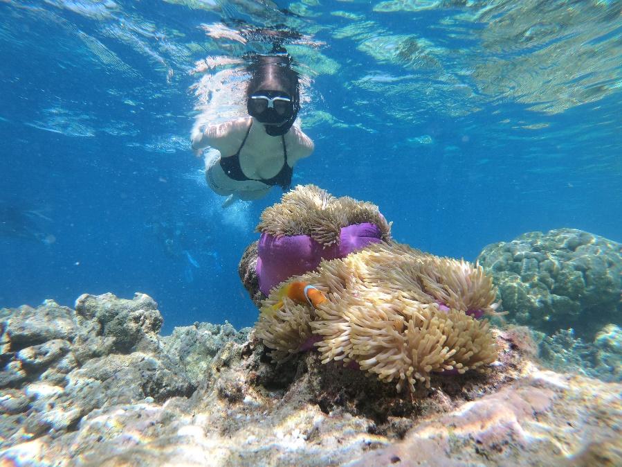 Snorkeling and Diving at Tanjung Lesung