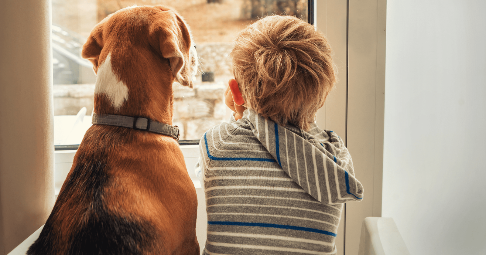 Dog and little boy sitting side by side staring out of a window