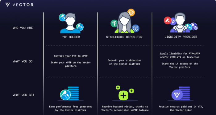 vector-finance-vtx-la-gi