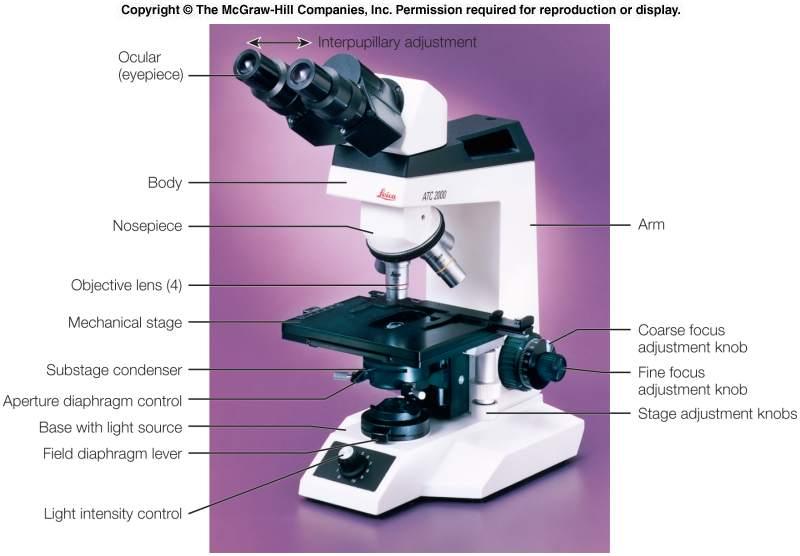 BIOLOGY FOR TECHNOLOGIST LAB REPORT LAB 1 PRINCIPLES AND USE OF