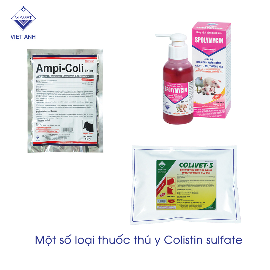 Các loại thuốc thú y Colistin sulfate 