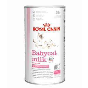 2. Royal Canin Baby Cat Milk 