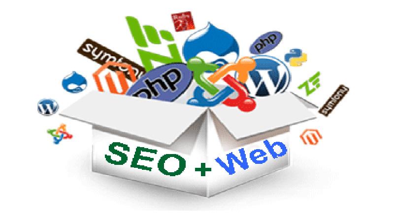 Hướng Dẫn Học SEO Website Cơ Bản Cho Người Mới Bắt Đầu