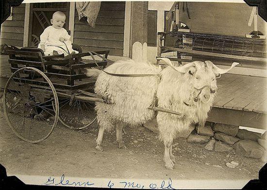История детской коляски