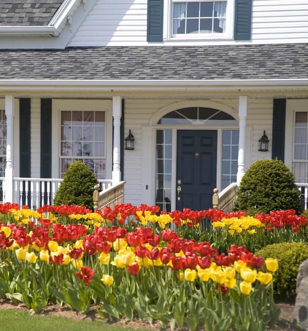 WeServe Colorful Flowers To Boost Curb Appeal