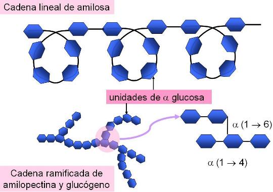 Imagen relacionada