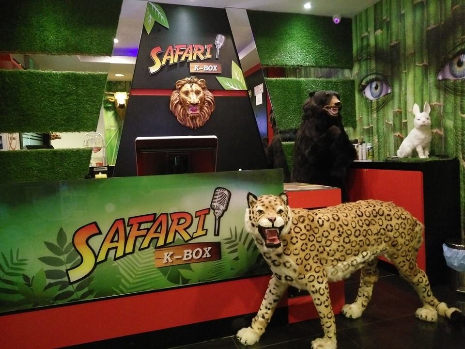 Safari K Box